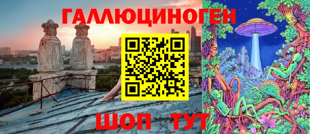 Гусиноозёрск  Псилоцибиновые грибы ЛСД  купить закладку  Галлюциногенные грибы MAGIC MUSHROOMS  Вход с VPN 